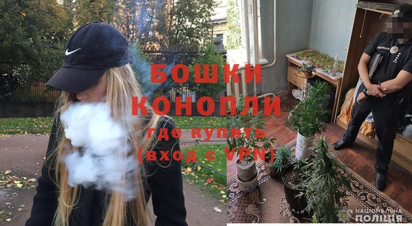 амф Аркадак
