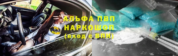 амф Аркадак